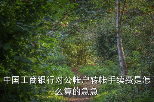 手機(jī)銀行 對(duì)公匯款手續(xù)費(fèi)多少錢，中國工商銀行對(duì)公帳戶轉(zhuǎn)帳手續(xù)費(fèi)是怎么算的急急