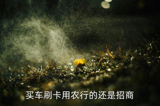 買車刷卡用農(nóng)行的還是招商