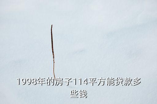 1998年的房子114平方能貸款多些錢