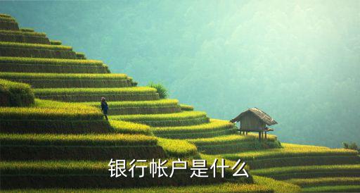 銀行帳戶是什么