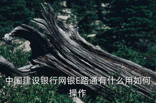 中國建行e路通什么用，中國建設銀行網(wǎng)銀E路通有什么用如何操作