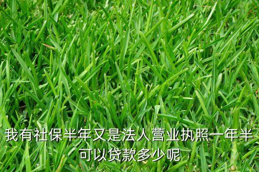 哈爾濱銀行法人貸能下來多少，請(qǐng)問哈爾濱個(gè)體工商執(zhí)照在銀行可以辦理小額貸款嗎
