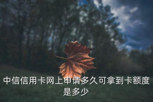 中信信用卡可辦理額度是多少天，中信信用卡網(wǎng)上申請(qǐng)多久可拿到卡額度是多少