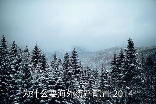 為什么要海外資產(chǎn)配置 2014