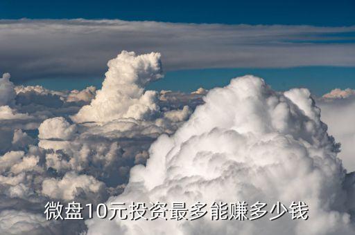 買(mǎi)10塊錢(qián)股票能賺多少錢(qián)，股民買(mǎi)10元股票可以賺多少賠率是由股東定的還是怎樣的