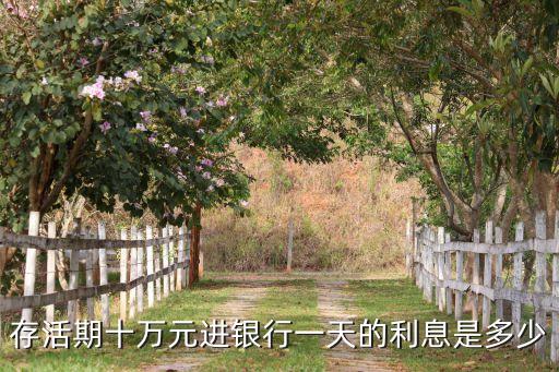 10w元每天的利息多少，存活期十萬元進(jìn)銀行一天的利息是多少