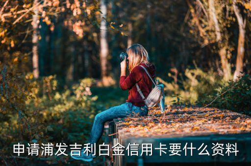 申請(qǐng)浦發(fā)吉利白金信用卡要什么資料