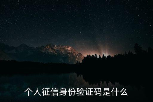 個(gè)人征信身份驗(yàn)證碼是什么