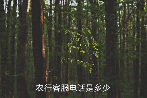 農(nóng)行客服電話是多少