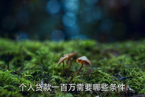 個(gè)人貸款一百萬需要哪些條件
