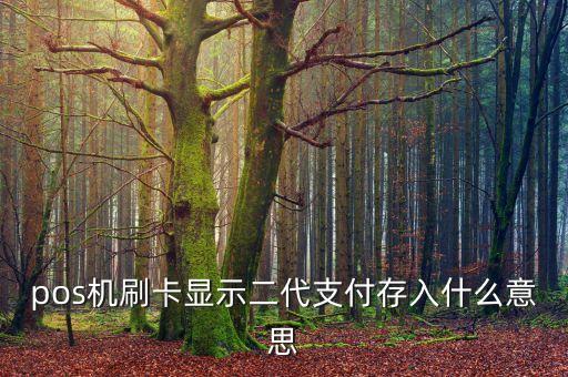 pos機刷卡顯示二代支付存入什么意思