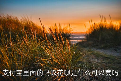 支付寶里面的螞蟻花唄是什么可以套嗎