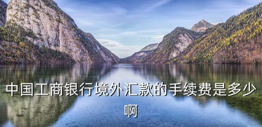 中國(guó)工商銀行境外匯款的手續(xù)費(fèi)是多少啊