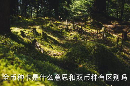 全幣種卡是什么意思和雙幣種有區(qū)別嗎