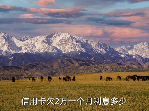 信用卡欠2萬一個(gè)月利息多少