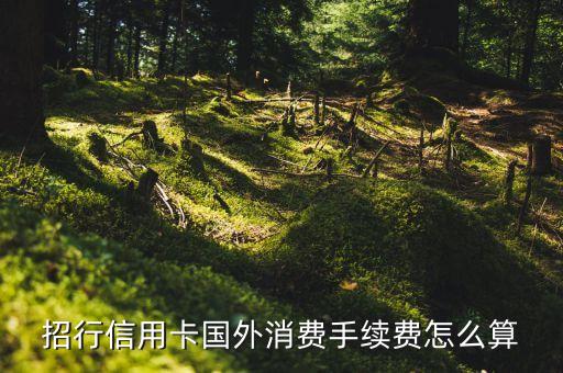 招商境外刷卡手續(xù)費(fèi)多少錢，我的是招商銀行一卡通的普通卡卡請(qǐng)問在境外刷卡消費(fèi)或提現(xiàn)收取