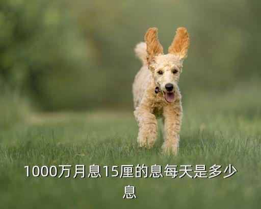 15厘利息是多少，借貸月息15點(diǎn)什么意思 怎么算呀