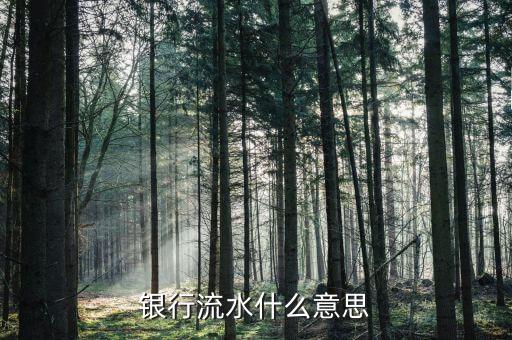 網(wǎng)銀流水指什么意思，銀行流水什么意思