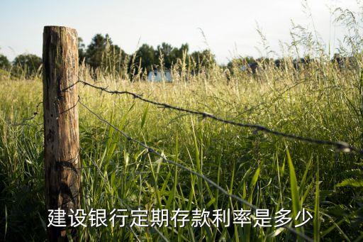 建設銀行銀行定期利率是多少錢，建設銀行存5萬一年利息多少