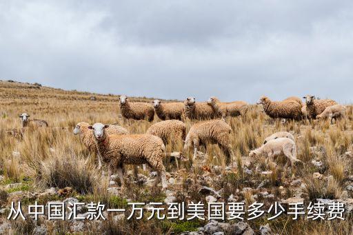 轉(zhuǎn)國外銀行手續(xù)費(fèi)多少錢，國際轉(zhuǎn)賬需要多少手續(xù)費(fèi)