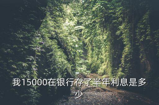 我15000在銀行存了半年利息是多少