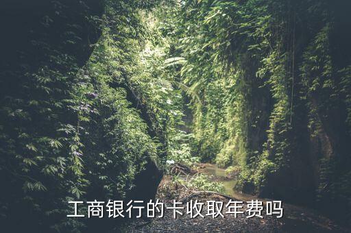 工商銀行的卡收取年費(fèi)嗎