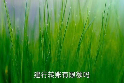 建行轉(zhuǎn)賬有限額嗎