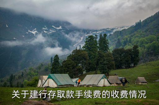 關(guān)于建行存取款手續(xù)費(fèi)的收費(fèi)情況