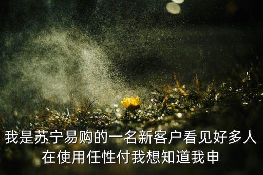 我是蘇寧易購的一名新客戶看見好多人在使用任性付我想知道我申