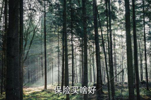 保險買啥好