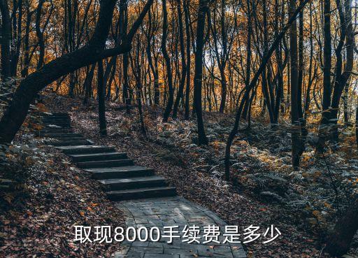 取現(xiàn)8000手續(xù)費(fèi)是多少