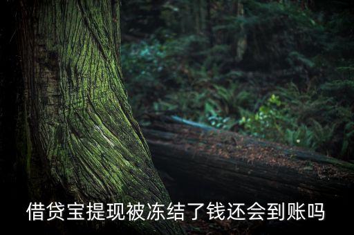 借貸寶提現(xiàn)被凍結(jié)了錢還會(huì)到賬嗎
