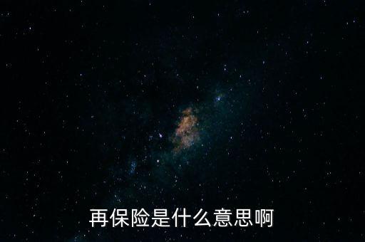 再保險(xiǎn)是什么意思啊