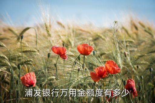 浦發(fā)銀行萬用金額度有多少