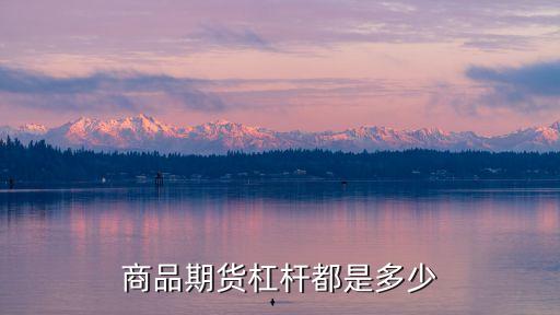 商品期貨杠桿都是多少