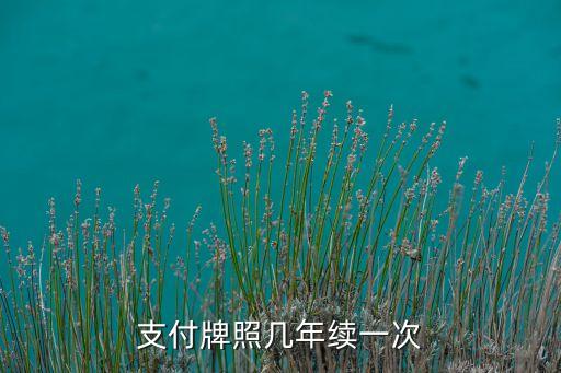全牌照支付公司有多少時間，截至目前已獲得第三方支付牌照的企業(yè)有多少個