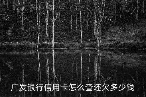 怎查廣發(fā)還剩多少錢，怎么查詢廣發(fā)銀行卡余額