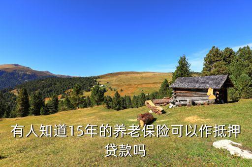 有人知道15年的養(yǎng)老保險可以作抵押貸款嗎
