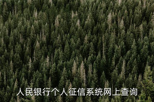 人民銀行個(gè)人征信系統(tǒng)網(wǎng)上查詢