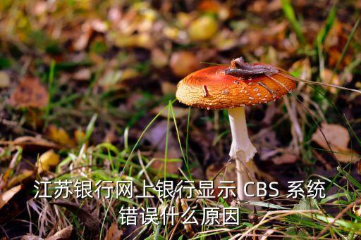 江蘇銀行網(wǎng)上銀行顯示 CBS 系統(tǒng)錯(cuò)誤什么原因