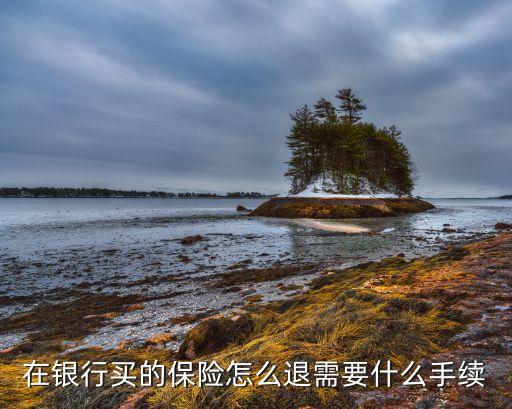 在銀行買的保險怎么退需要什么手續(xù)