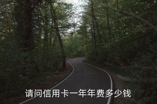 請(qǐng)問(wèn)信用卡一年年費(fèi)多少錢(qián)