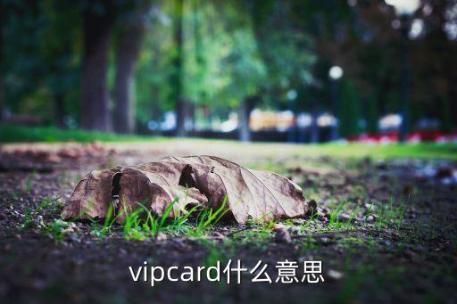 東風(fēng)日產(chǎn)vip卡是什么意思，東風(fēng)VIP是那款車型