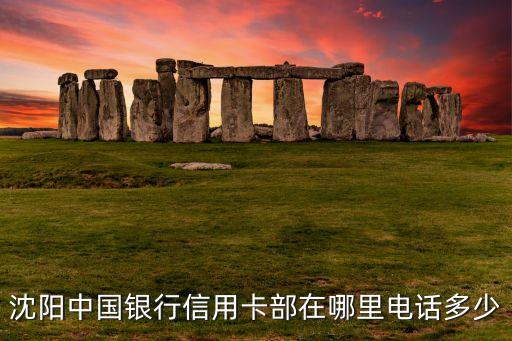 沈陽(yáng)中國(guó)銀行信用卡部在哪里電話多少