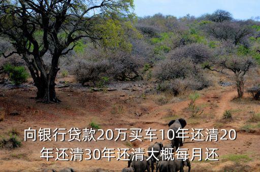 向銀行貸款20萬(wàn)買(mǎi)車(chē)10年還清20年還清30年還清大概每月還