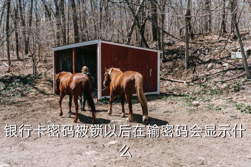 銀行卡密碼被鎖以后在輸密碼會顯示什么