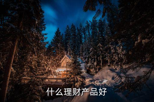 什么理財(cái)產(chǎn)品好