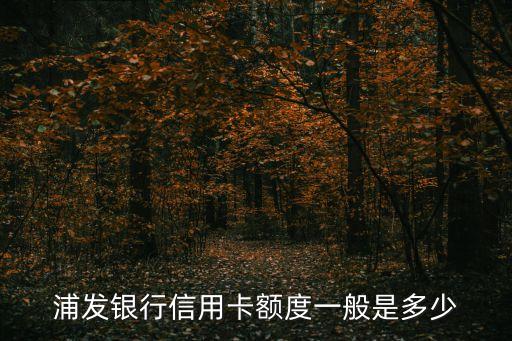 浦發(fā)銀行信用卡額度一般是多少