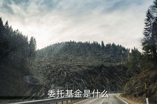 委托基金是什么