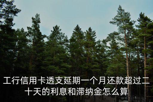 工行信用卡透支延期一個(gè)月還款超過(guò)二十天的利息和滯納金怎么算